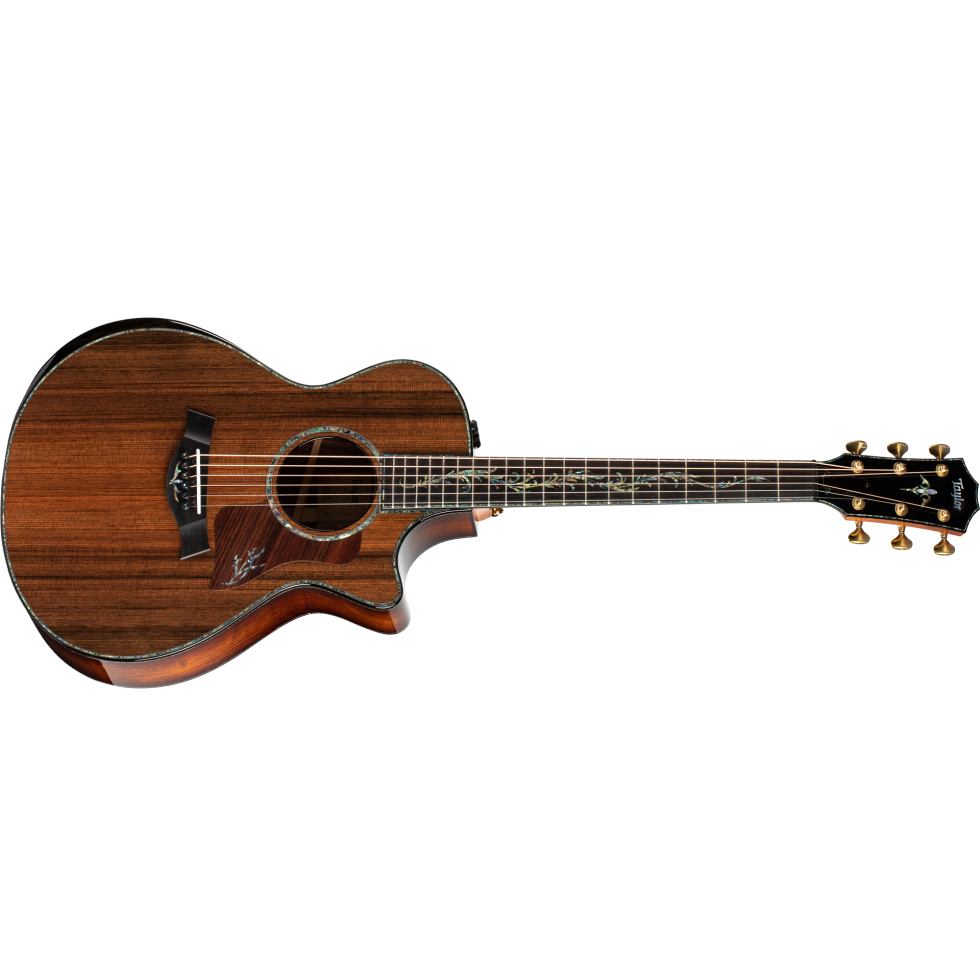 Taylor 210ce Rosewood 新品 パンチの効いた低音とクリアな高域